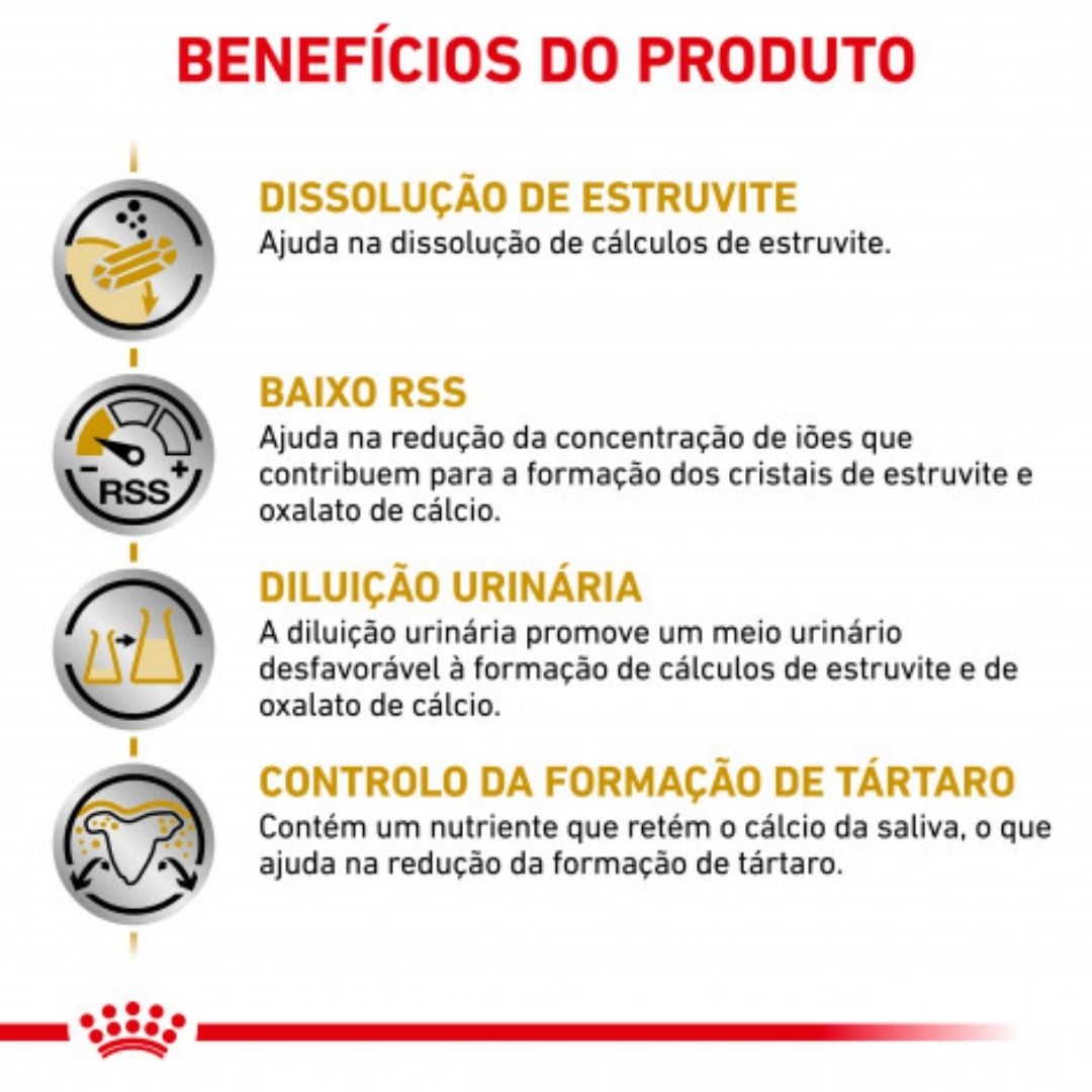 RCURSM15