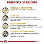 RCUSO2000