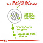 RCXADL050