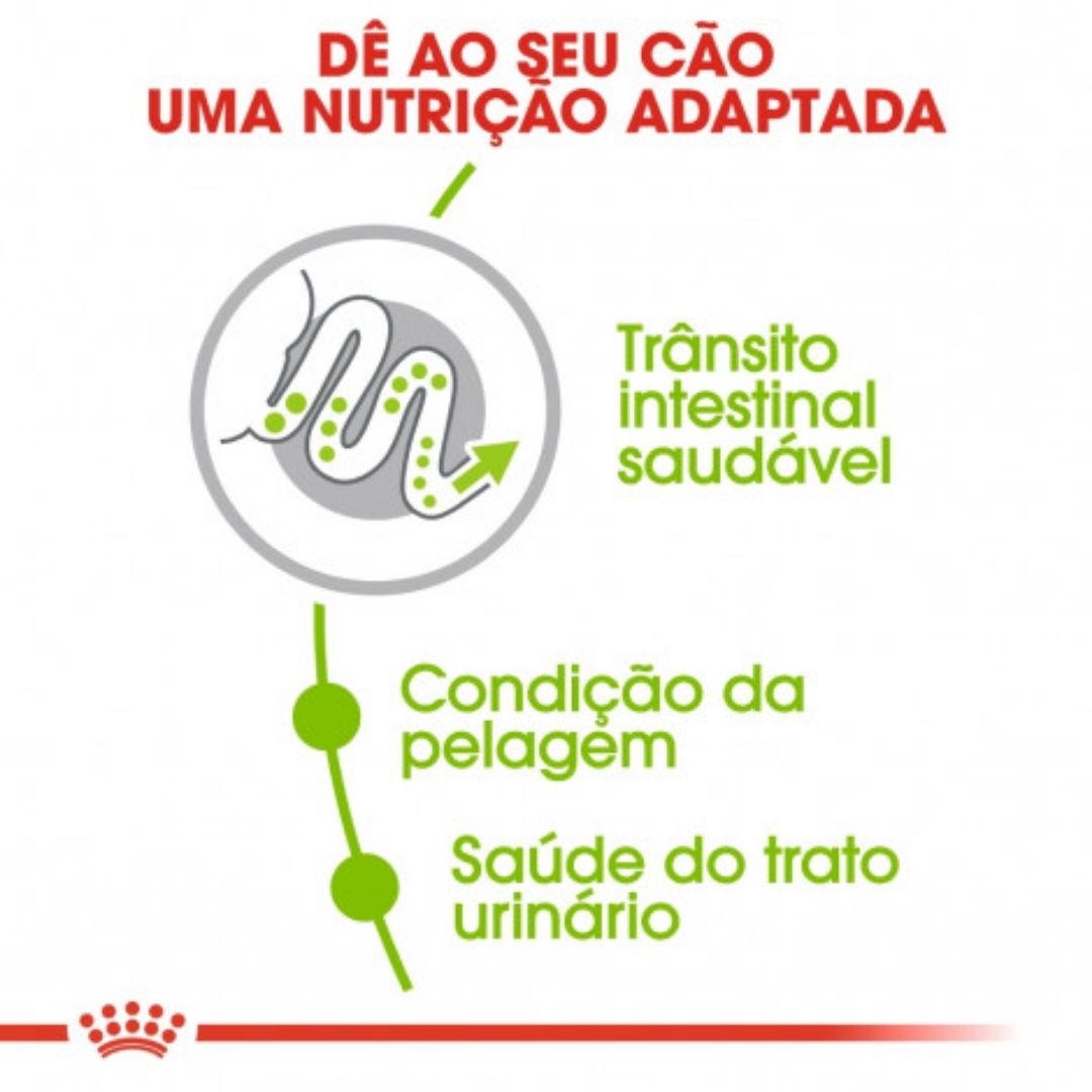RCXADL050