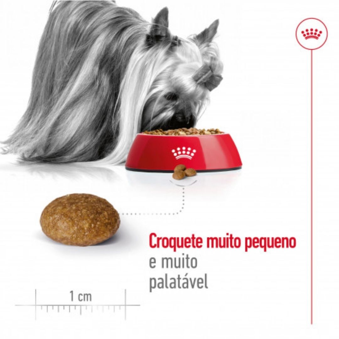RCXSA8050