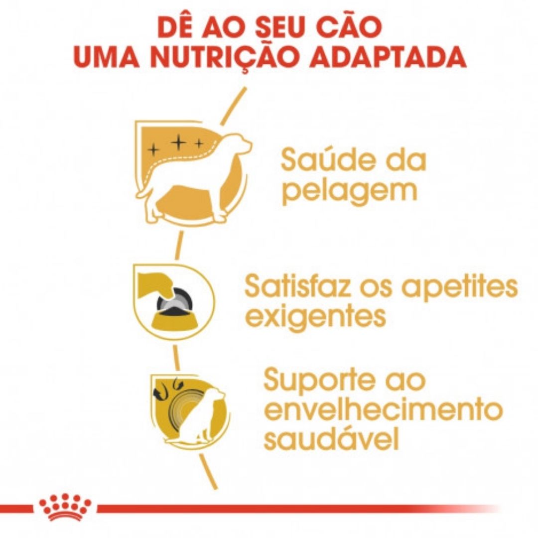 RCYT0500