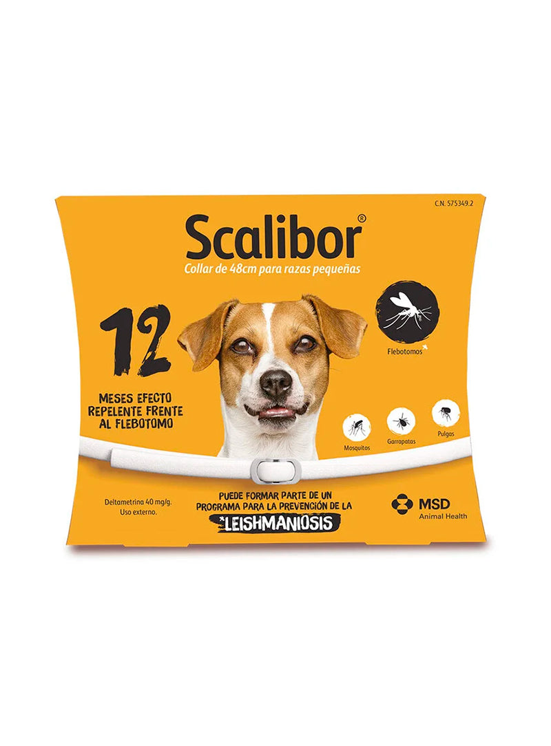 SCALIB48