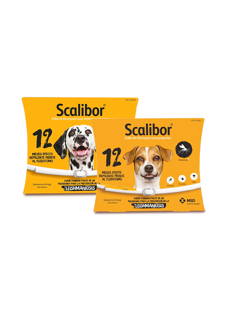 SCALIB48