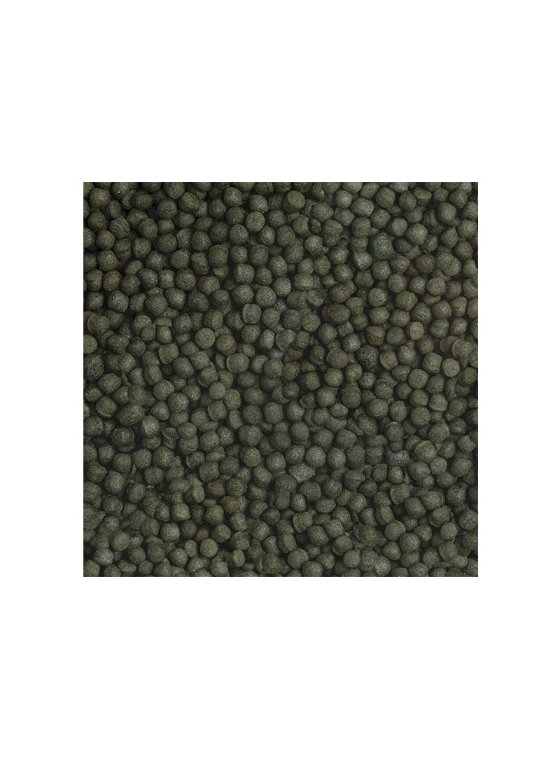 SE00213