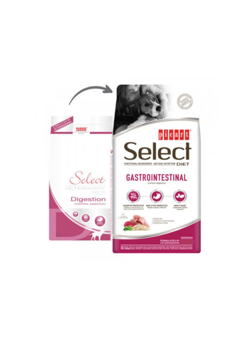 SELMVDD2