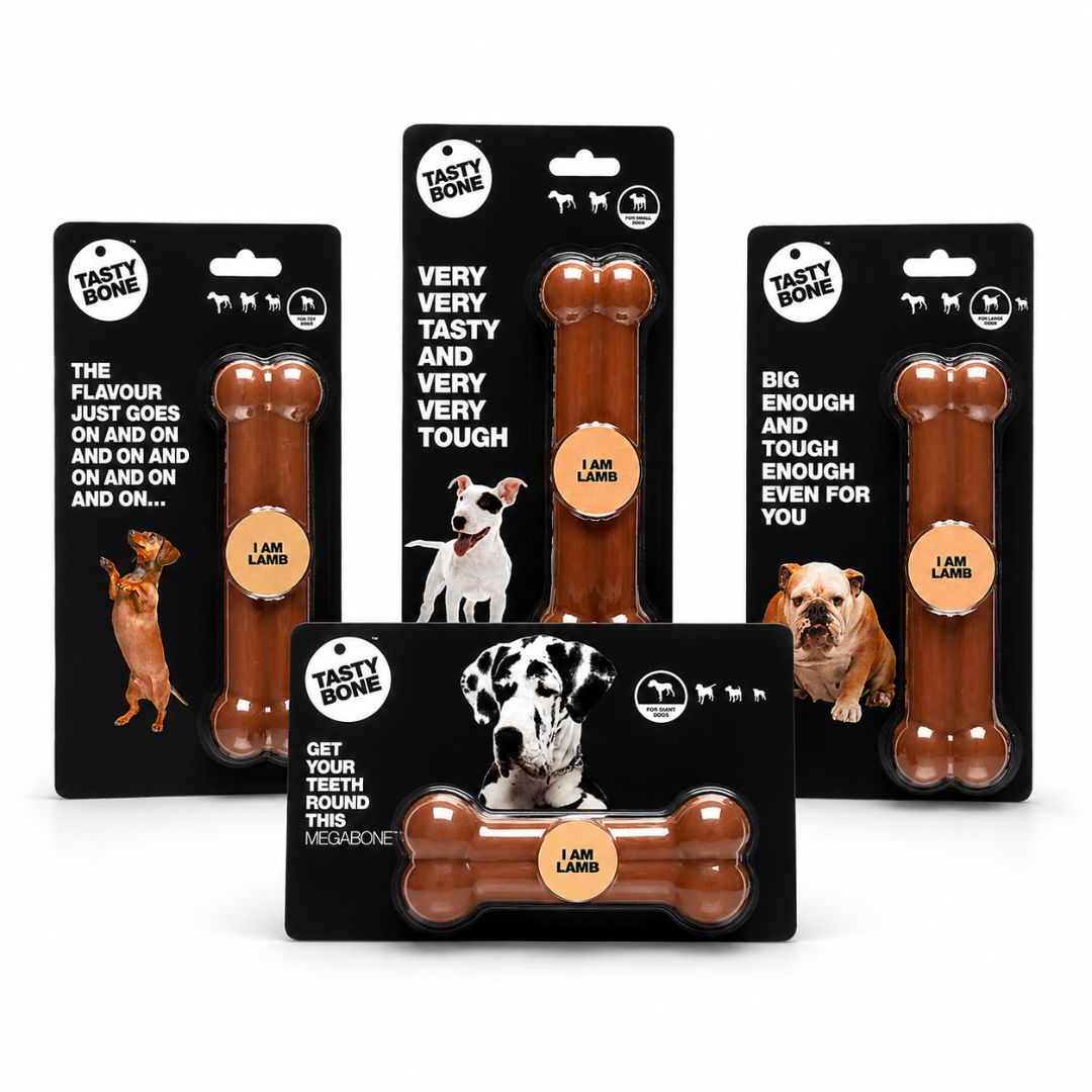 TASTLBTOY