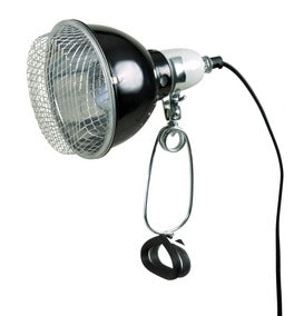 TR76070