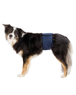 TX23661