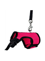TX61511