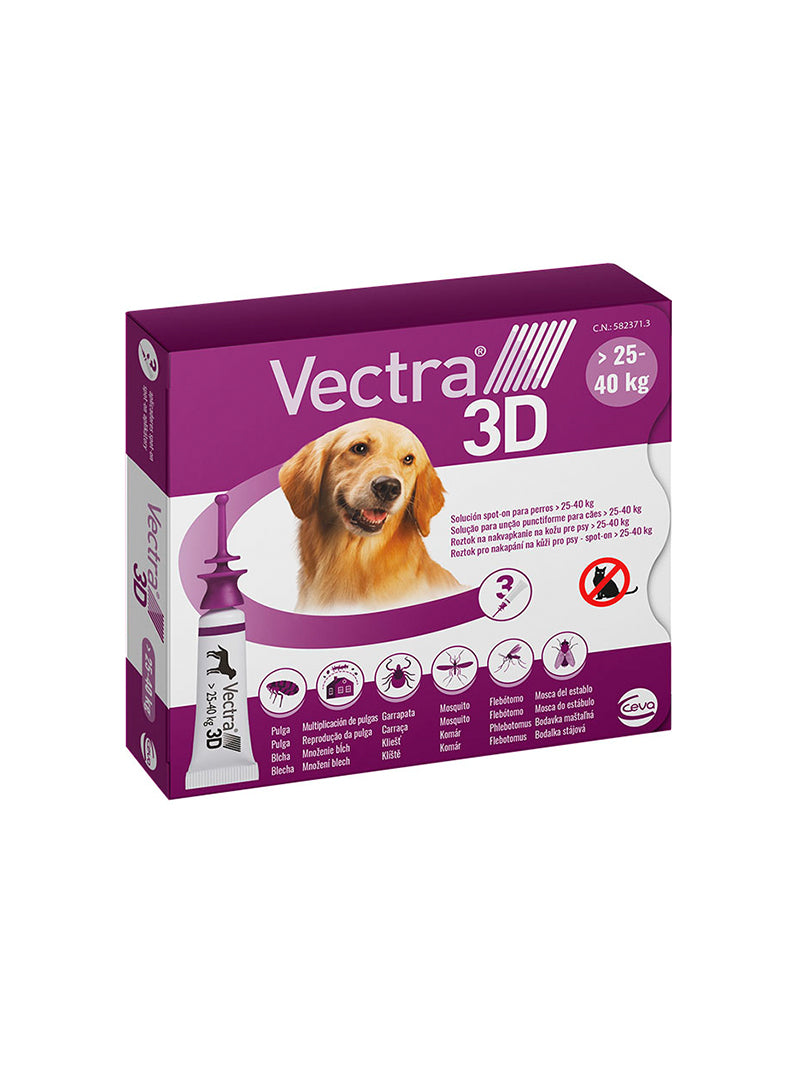 VECTRA3DL