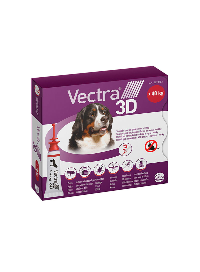 VECTRA3DXL