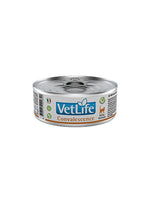 VLFCVLP