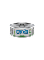VLFRNLP