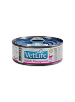 VLFSTMLP