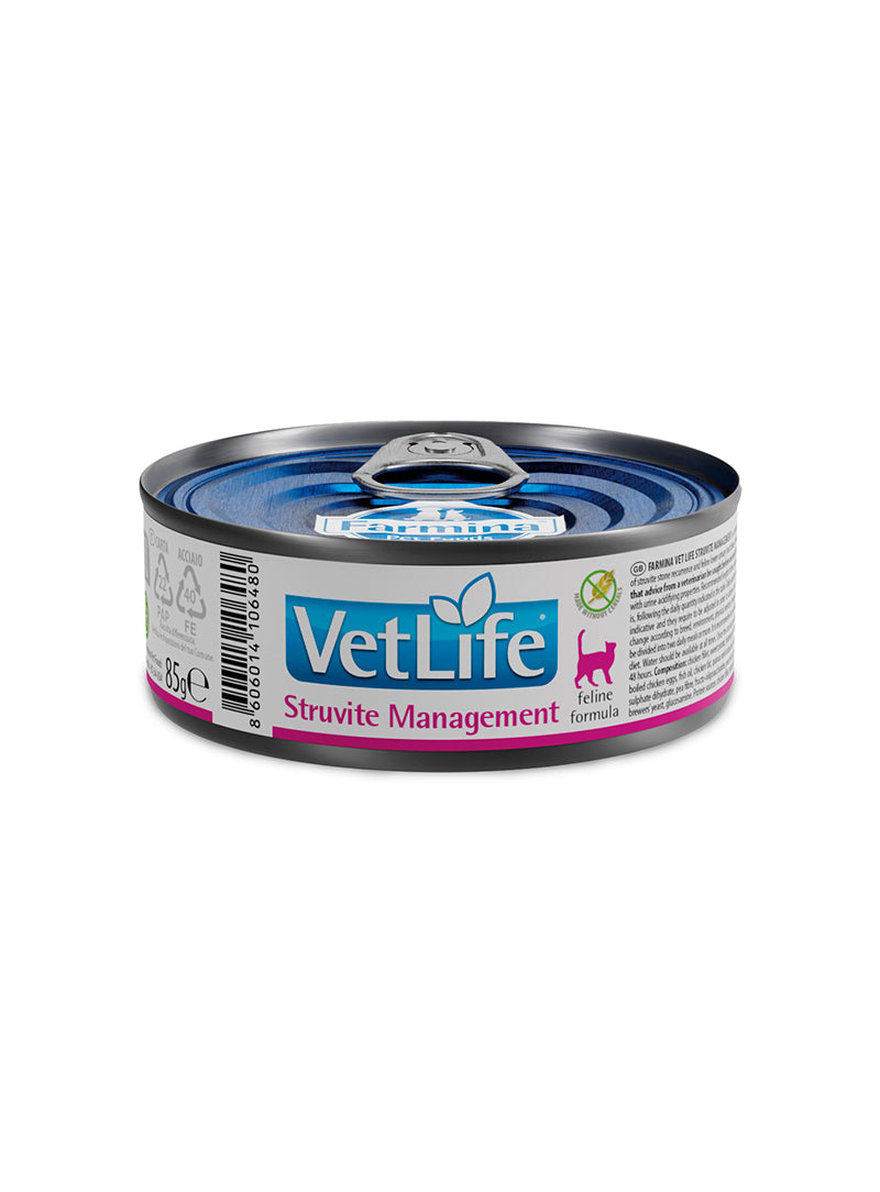 VLFSTMLP