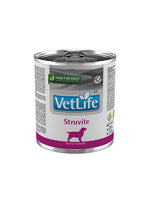 VLSTLG