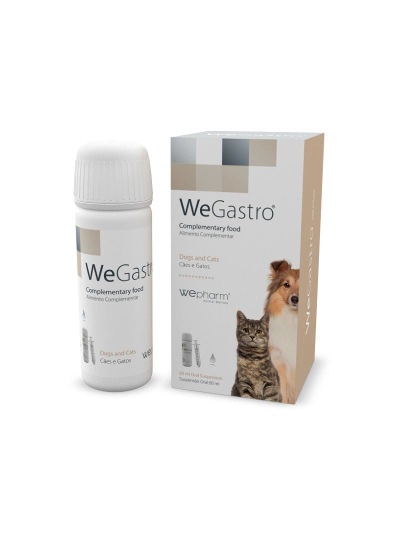 WEGAST60