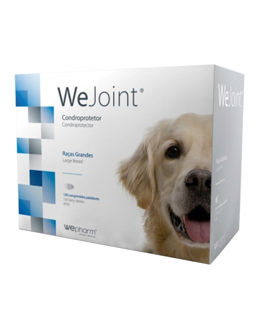 WEJOG12