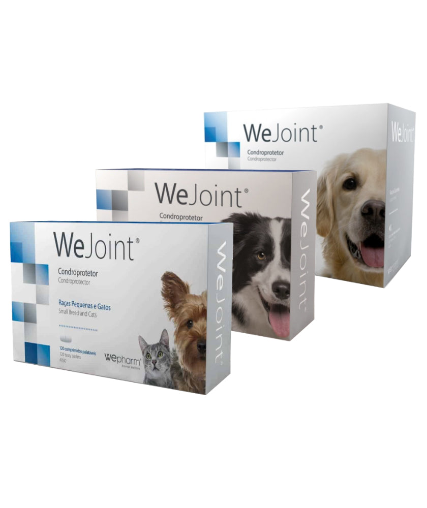 WEJOG12