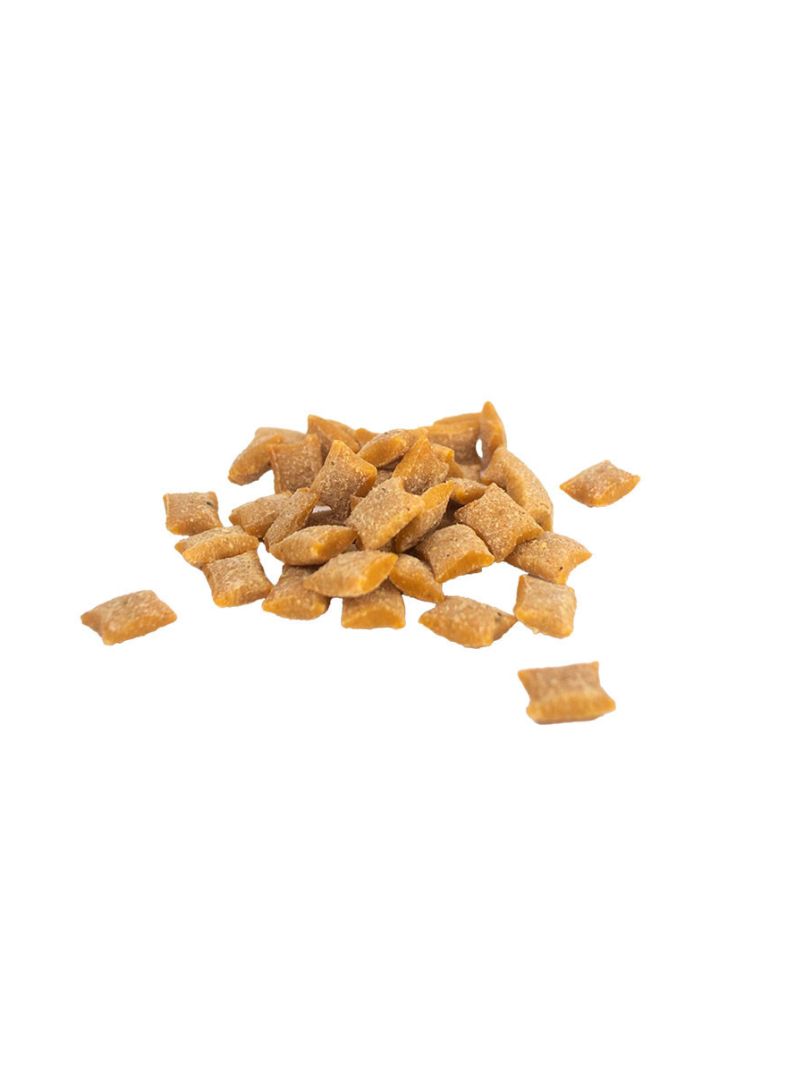 WS03