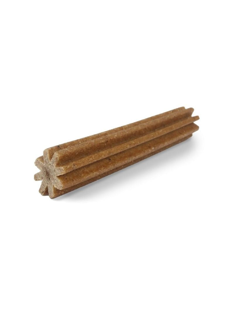 WS04
