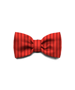 ZDBOW41