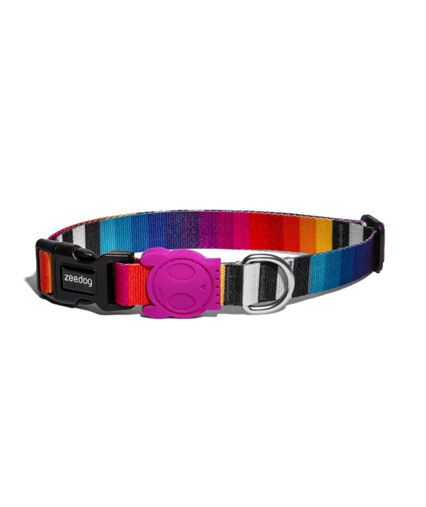 ZDCOLLAR109