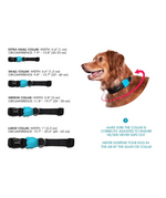 ZDCOLLAR86