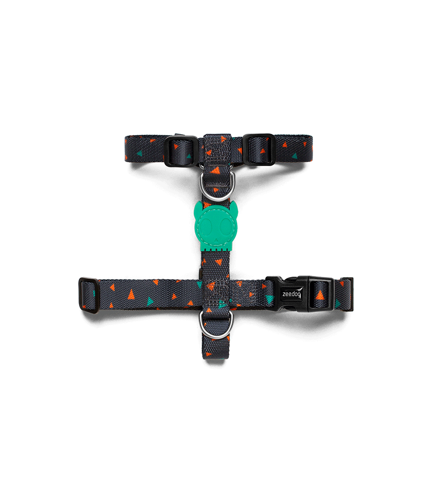 ZDHH08