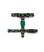ZDHH54